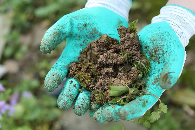 Gardening Gloves Worse for Wear? Shop the Ones Over 17,000 Shoppers Swear By 