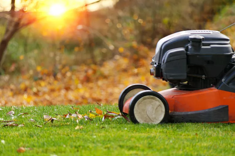 What's a Mulching Lawn Mower and Is It Better for Your Grass?